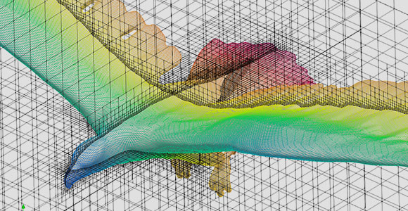Surface mesh on a wing-body with refinement boxes